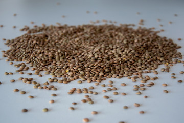 brown lentils on white surface