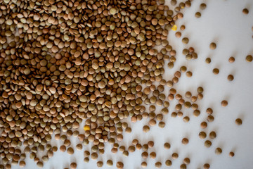brown lentils on white surface