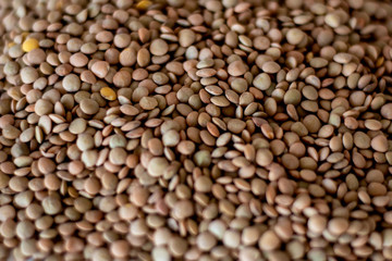 brown lentils on white surface