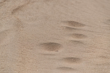 beautiful desert sand texture, close-up