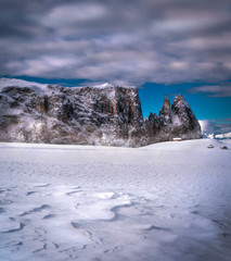 winter landscape with snow