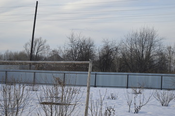winter landscape with snow