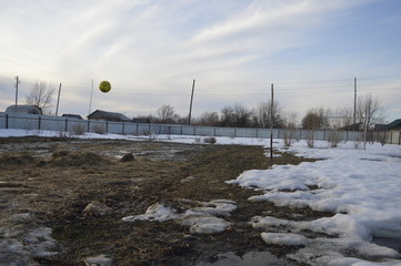 winter landscape with snow