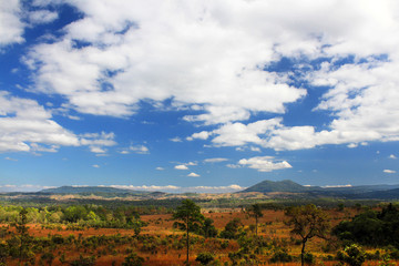 Beautiful landscape view of nature with pine tree, dry grass field with mountain, blue sky and clouds background at Thung Salaeng Luang national park, Phitsanulok, Thailand.