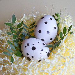 happy easter greeting card. dotted easter eggs with leaves in paper nest on pastel background. freckled easter eggs