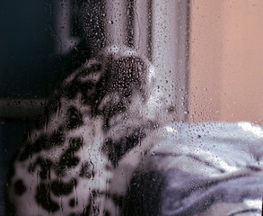 Lluvia en lluvia