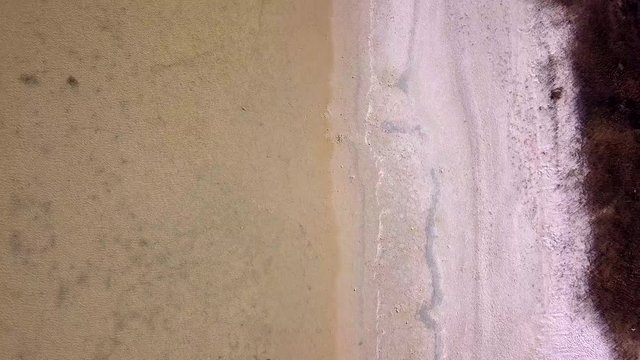 Drone shot, top bottom view of shore line of a salty water lagoon before the drought period. Places like this risk to disappear due to climate change. Algae