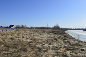 dry grass