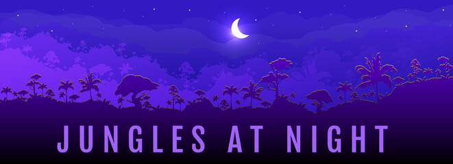 Jungles at night flat color vector banner template. Panoramic view on exotic woods. Moon cresent on dark sky. Travel to rainforest. Tropical 2D cartoon landscape with woods on background