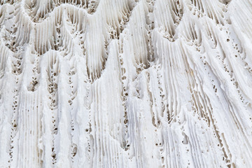 texture and closeup of white coral rock