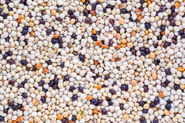 the texture of whole grain