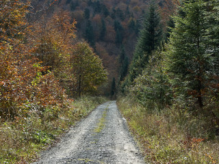 droga w górach jesienia