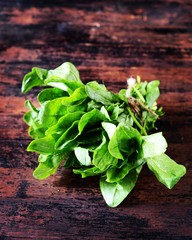 Bunch of fresh spinach (sorrel) on a dark wooden background