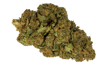 marijuana leaf isolated on white background