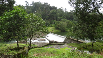 Photos from Gavi, a forest area in Kerala, India