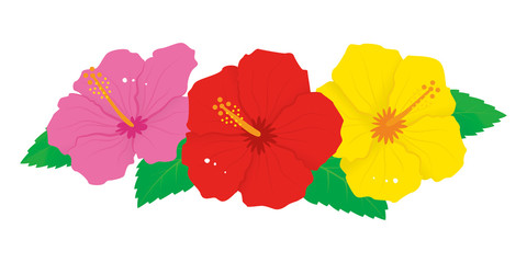 赤とピンクと黄色のハイビスカスの花のベクターイラスト © hoshisei
