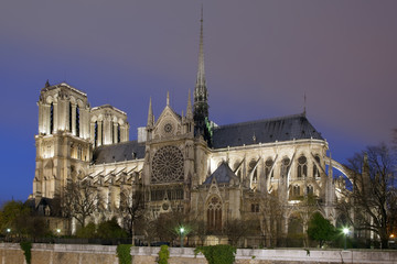 Obraz premium Notre Dame Paris beleuchtet
