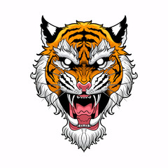 Tiger Head with in White background