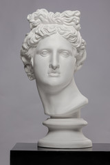 White plaster statue of a bust of Apollo Belvedere on a gray background