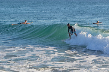 surf onda