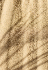 Sandy beach background top view with visible sand texture. Palm shadows. Vertical tropical background.