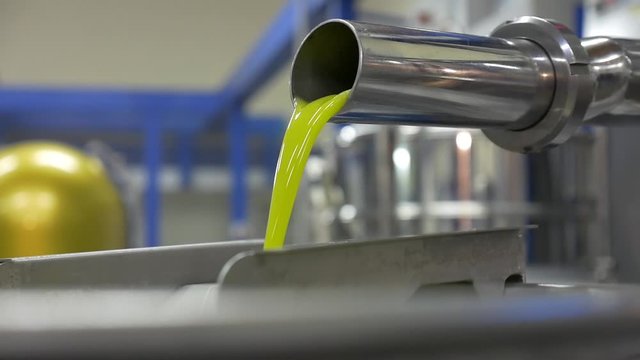 Pure bio extra virgin olive oil coming out of industrial pipe at the end of cold-pressed professional production process
