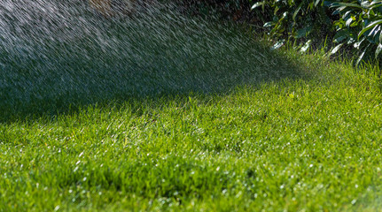 Rasen Bewässerung im Sommer- Hitzesommer mit Wasserknappheit - Wassermangel
