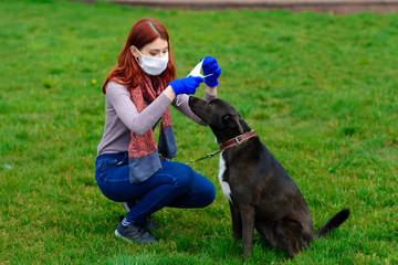 Young female using a face mask as a coronavirus spreading prevention walking with her dog. Global...