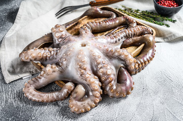 Raw octopus in a bowl. Organic seafood. Gray background. Top view