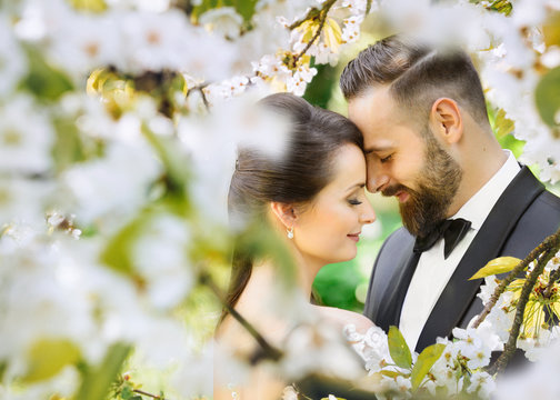 beautiful bride and groom in the nature - blooming, romantic