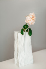 Dried rose in a white crumpled vase on a grey background. Coronavirus and covid-19