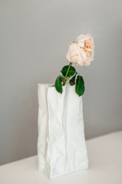 Dried rose in a white crumpled vase on a grey background. Coronavirus and covid-19