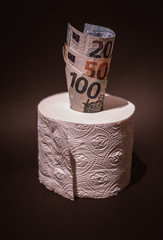 roll of money in toilet paper - toilet paper is getting expensive while quarantine - the market regulates the price