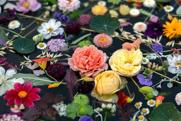 Multicolored flowers in water , black background, selective focus