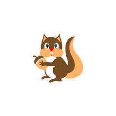 squirrel mammals wild animal