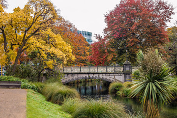 Autumn Landscape in Christchurch New Zealand - obrazy, fototapety, plakaty