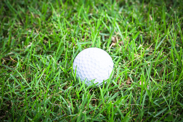 white golf ball on green grass for background.