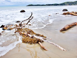 Strand von Moeraki
