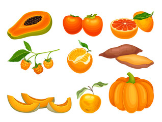 Orange Vegetables and Fruits with Ripe Sharon Fruit and Pumpkin Vector Set