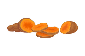 Orange Batata Vegetable Isolated on White Background Vector Illustration