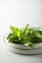 Fresh basil on a white plate