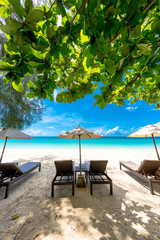 プーケット島にある天国に近い島「マイトンアイランド」イルカに遭遇できることで有名な島です。