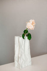 Dried rose in a white crumpled vase on a grey background. Coronavirus and covid-19