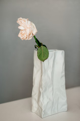 Dried rose in a white crumpled vase on a grey background. Coronavirus and covid-19