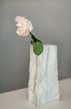 Dried rose in a white crumpled vase on a grey background. Coronavirus and covid-19