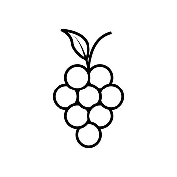 Grape line icon