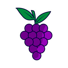 Illustration of fruit Grape