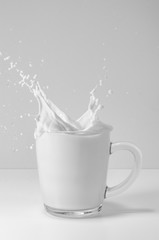 milk in a transparent Cup with a splash pours on a white table on a gray background