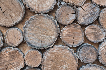 Old wood with natural patterns. Shabby wood texture. Close-up. Wooden background