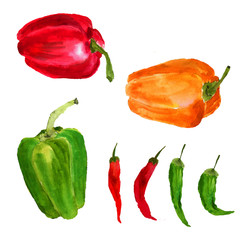  Hand drawn raw food illustration. Organic healthy peppers watercolor drawing.